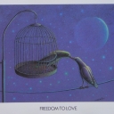 Caricature. Freedom to love