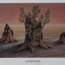 Caricature. Love plants