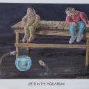 Caricature.Life is the aquarium