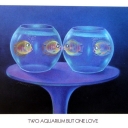 Caricature. Two aquarium but one love