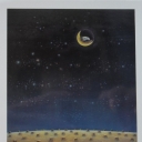 Caricature. The nest on the moon
