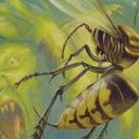 Hornet Sting
