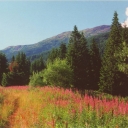 Valley of Pohorilets river