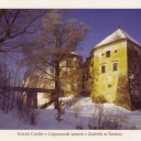 Svirzh Castle