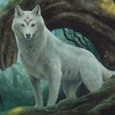 Sacred Wolf