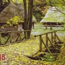 Lviv. Museum of Folk architecture and life