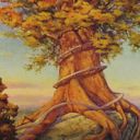 Rootbound Crag