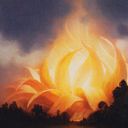 Sunpetal Grove