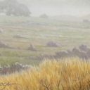 Plains