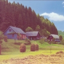 Lopushna village. Haymaking time