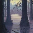 Swamp