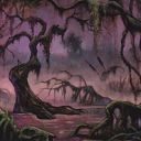 Swamp