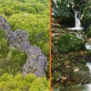 Stone Mountain range spruce 6