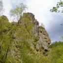 Stone Mountain range spruce 7