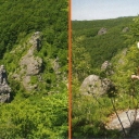 Stone Mountain range spruce 8