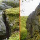 Stone Mountain range spruce 9