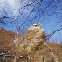 Stone Mountain range spruce 2