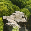 Stone Mountain range spruce 3