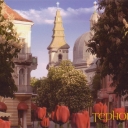 Ternopil. Old town in chestnut bloom