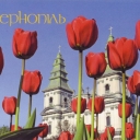 Ternopil. Blooms in Sahaydachnyy street