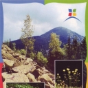 Chomiak peak, 1542 m. River Bogdan. Salamandra