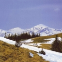View of Hoverla from Kostrych range