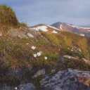 Chornohora. Pathway. View of Turkul mount