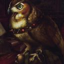 Sage Owl