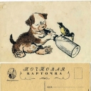 Puppy