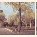 Irkutsk. Gagarin's boulevard
