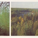 Syktyvkar forestry green-house