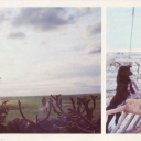 Reindeer-breeding - traditional business of North