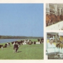 Lozym milk-producing complex