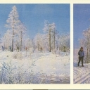 Zapolyarnyy. Winter holidays