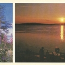 Zapolyarnyy. Arctic Summer colors