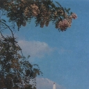 Kerch. Obelisk at the mass grave of Soviet soldiers