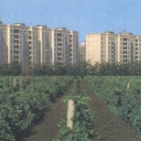 Odessa. A new residential neighborhood in the southern part