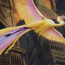 Birds of Paradise