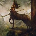Centaur Courser
