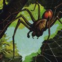 Deadly Recluse