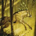 Emerald Oryx