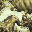 Might of Oaks