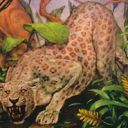 Mist Leopard