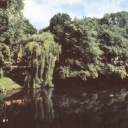 Riga. Landscape in the city park