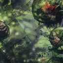 Nature's Spiral
