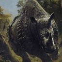 Stampeding Rhino