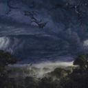 Windstorm
