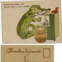 Crocodile