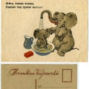 Elephants