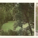 Average pond and a statue of Lermontov
